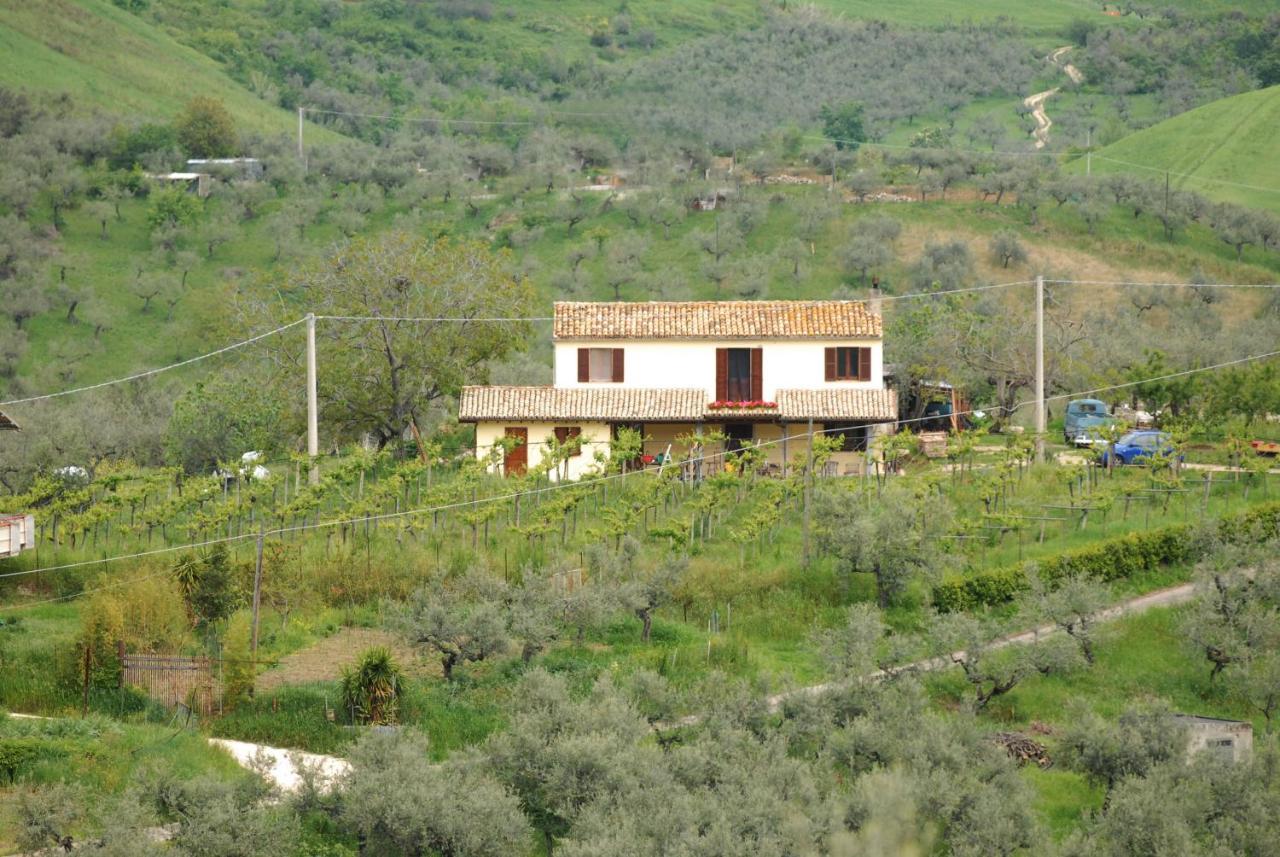 B&B Conca Del Pretore Loreto Aprutino Exterior photo