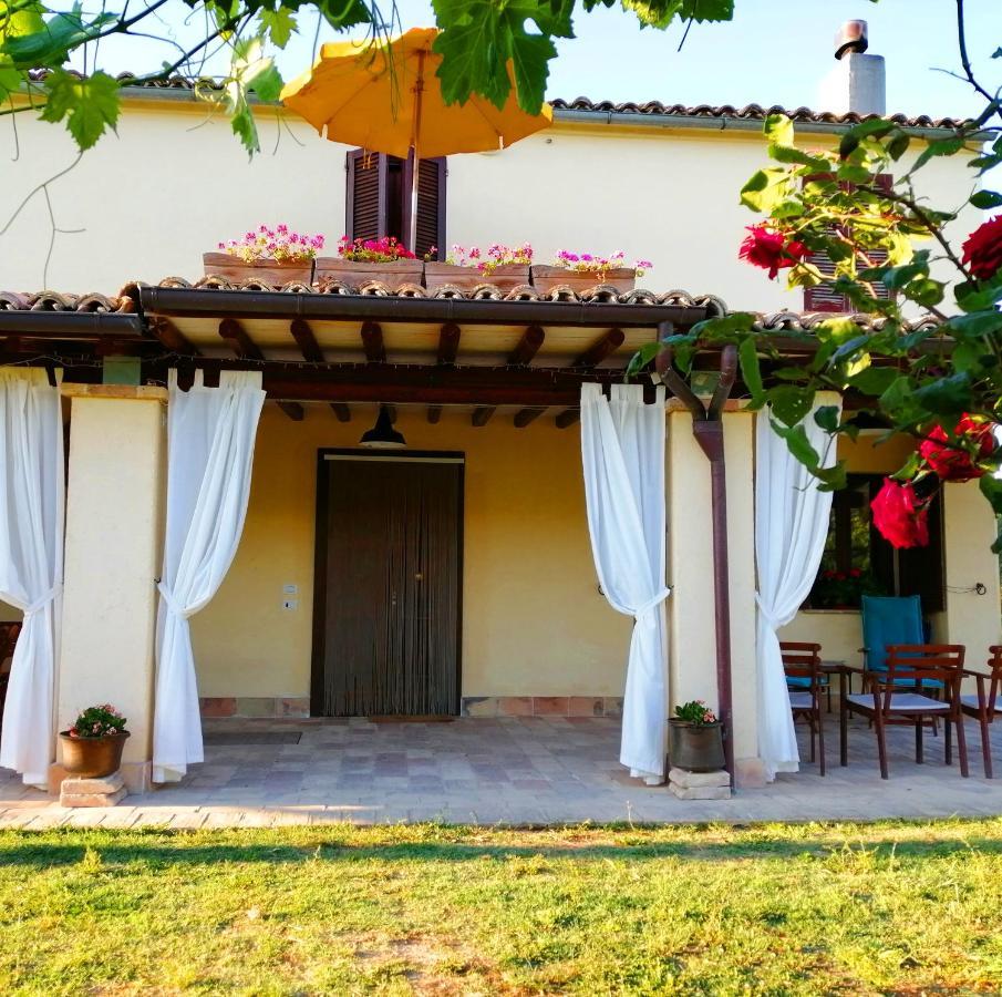 B&B Conca Del Pretore Loreto Aprutino Exterior photo